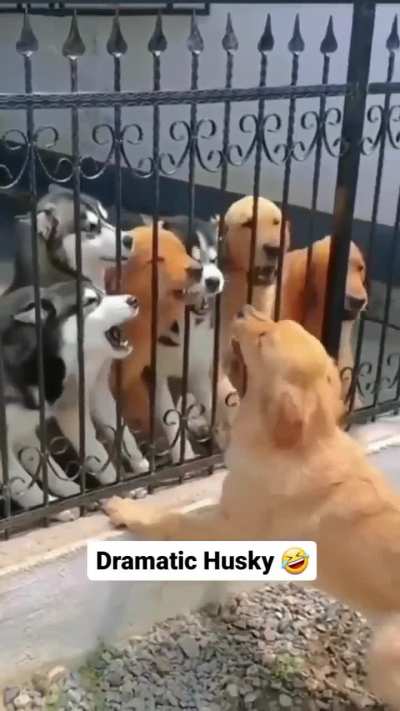 that wasn&rsquo;t the brightest idea 😭