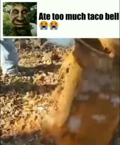 Sad fate
