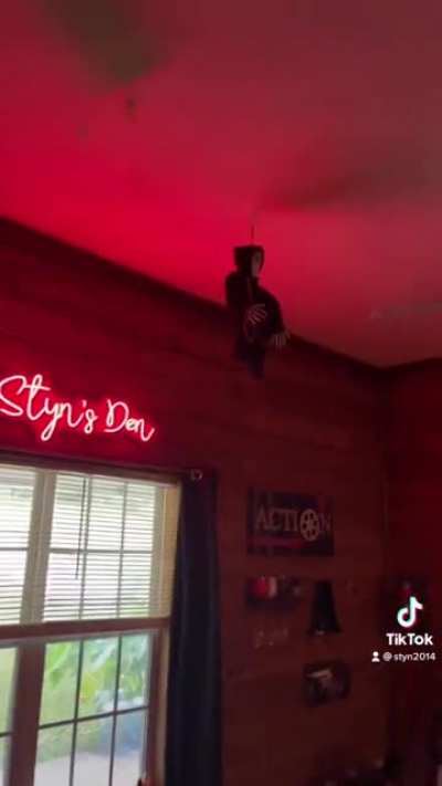 Obviously not a fan of the Halloween Decor