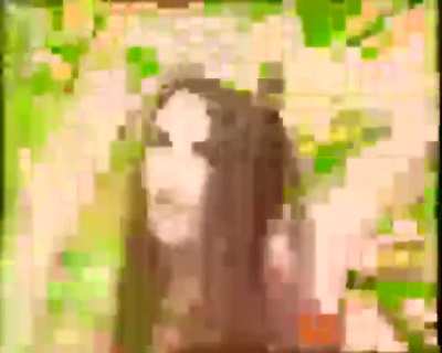 countablepixels