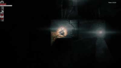 Darkwood in a nutshell