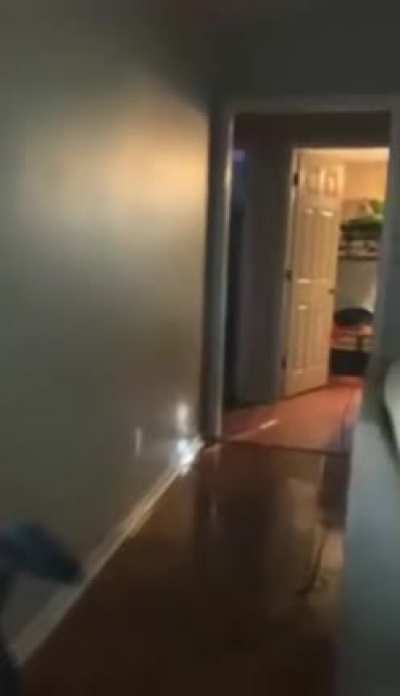 Found on 9gag, carpet farter
