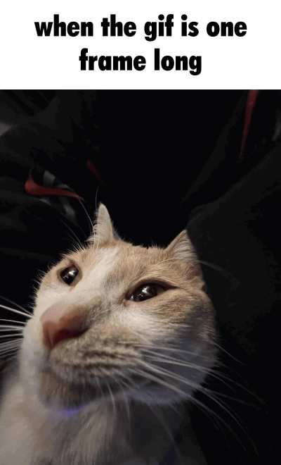 I swear its a gif.
