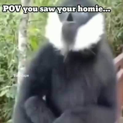 Oooooooooo...