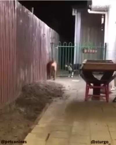 Trapped Friend