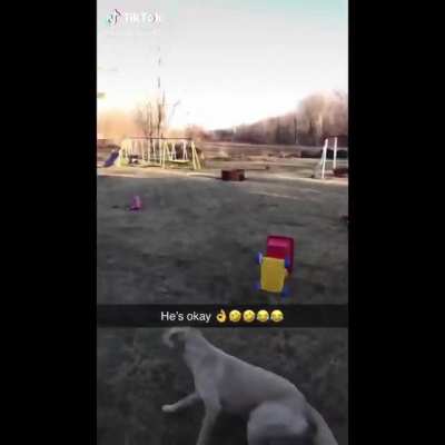 To Fly