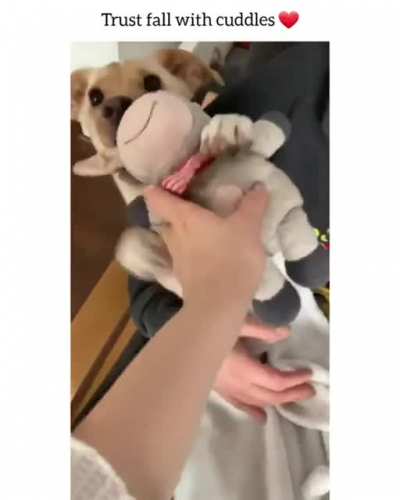 Beautiful pupper
