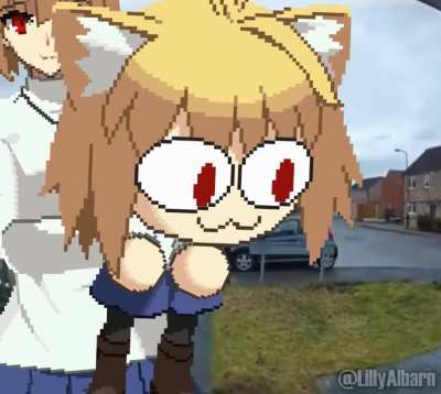 MEOW~
