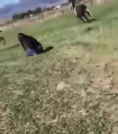 Trying to pop the champagne while on horse back