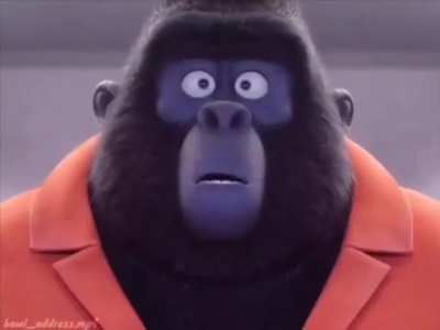Macaco Música