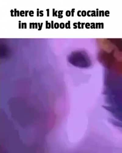 please help