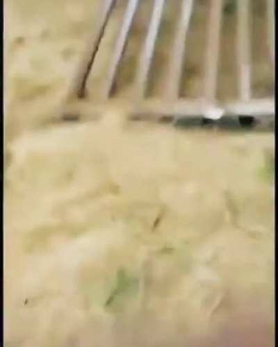 Border wall no match for narcos