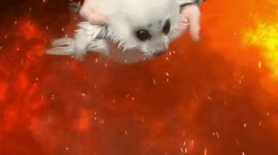mr saved