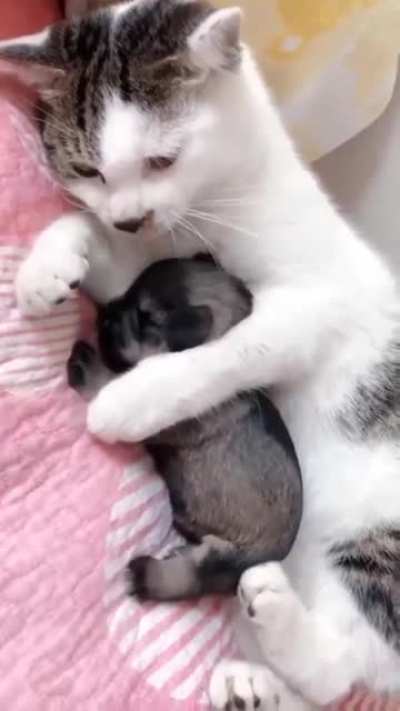 Its my baby...