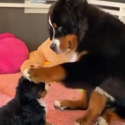 &ldquo;Look, I am your father&rdquo;