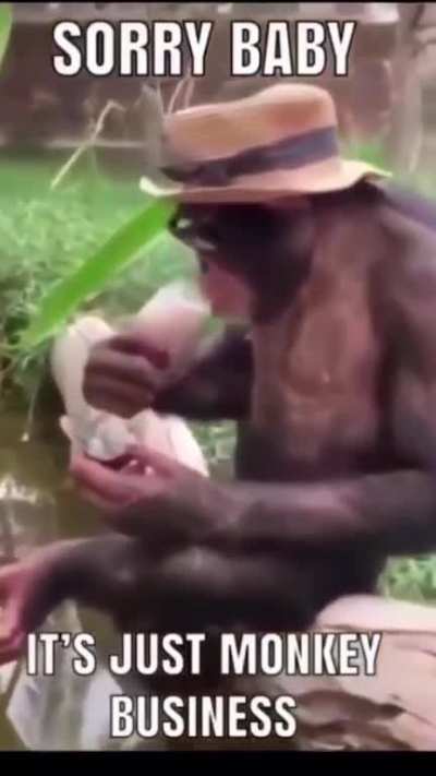 🐒💱