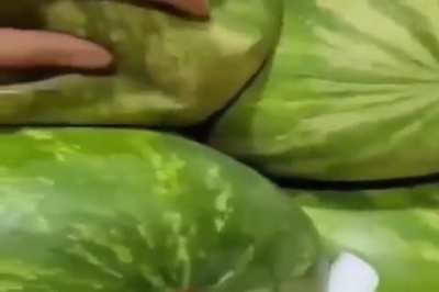 2 + 2
