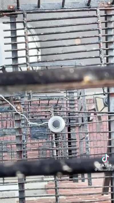 Recovering a lost lid