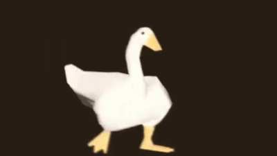 G a n s o
