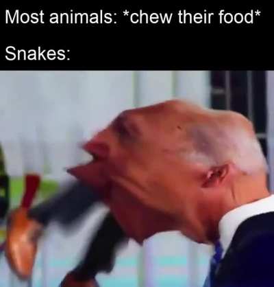 Mmmm yes consume