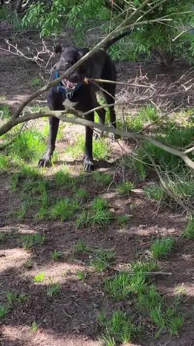 Here throw this!