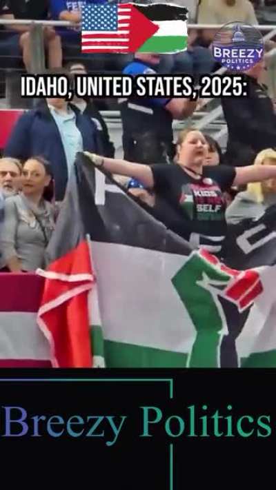 Holding up a flag is now an arrestable offence
