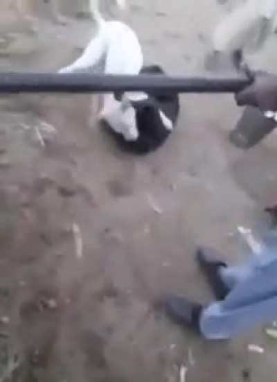 That's why you should not interfere in.