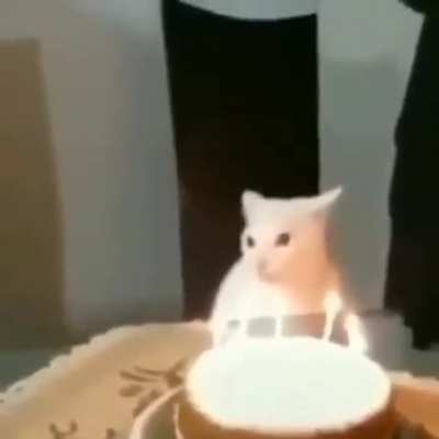 É pica :D