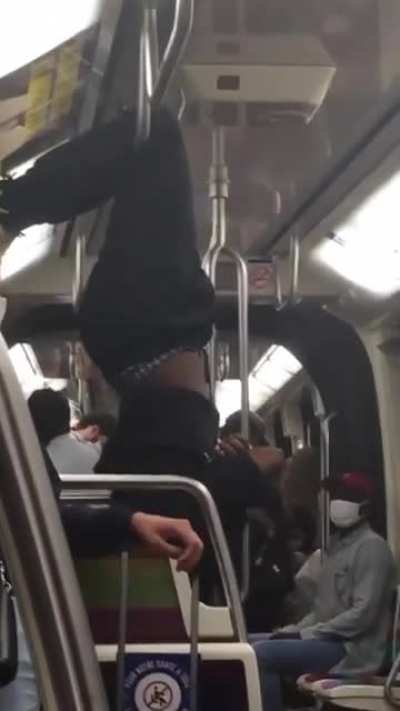 Le m&eacute;tro parisien et ses chauves-souris