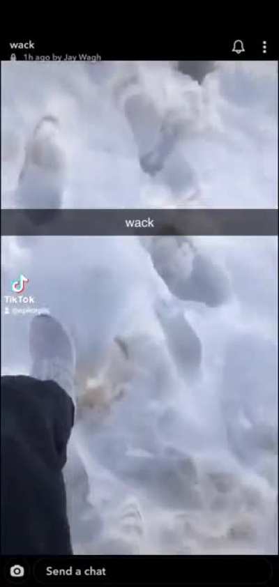 Antarctica