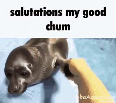 So polite