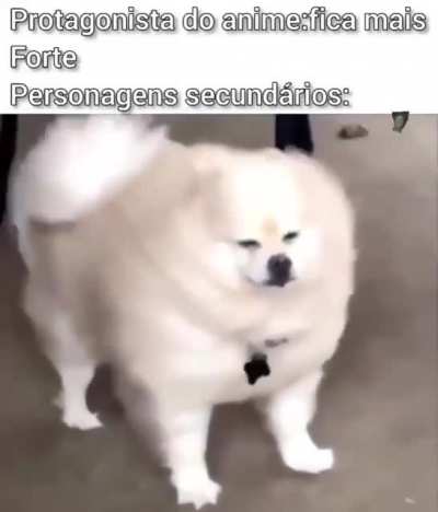 TITULO..zinho