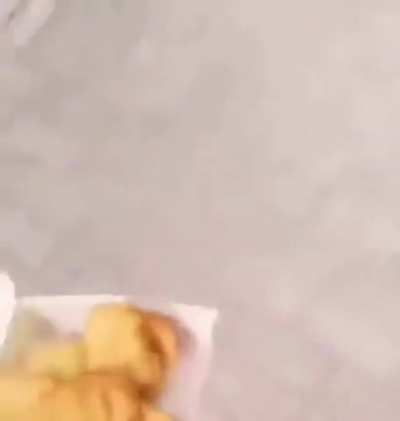 Giving nuggets to a dog