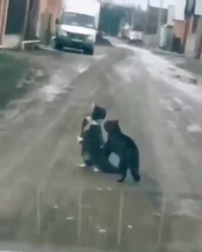 What just happened?