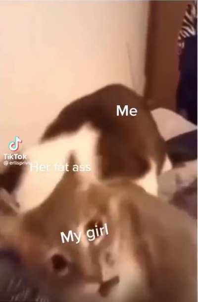 relationship