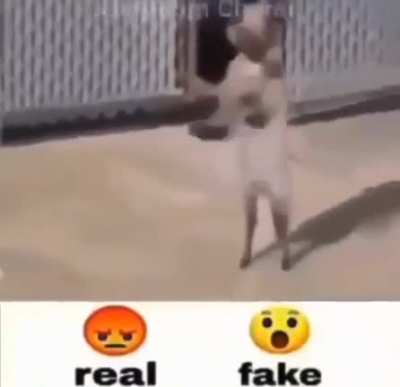 "Guys this is not real 🤓🤓🤓"