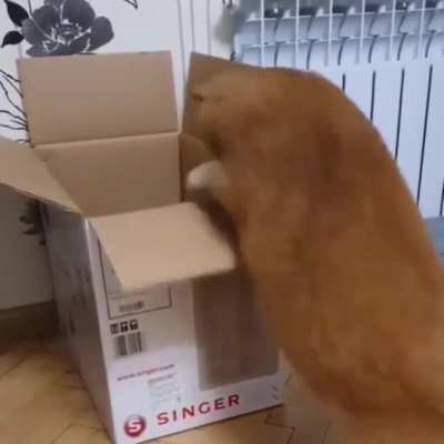 Help I&rsquo;m stuck.
