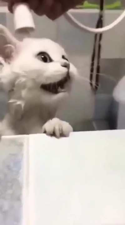 ddfsaqfgygssas