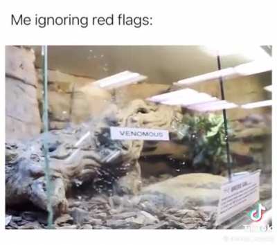 Meme