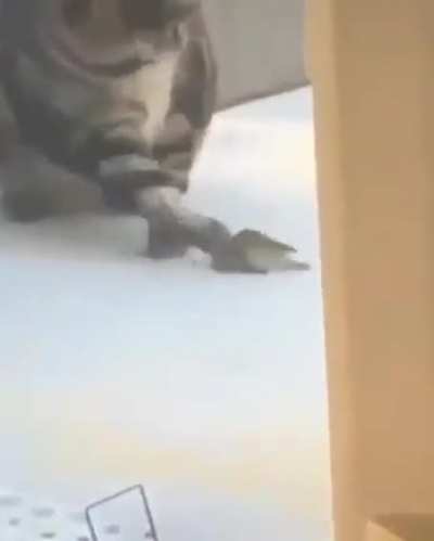 D: