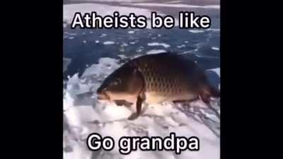 Wtf did I just make?