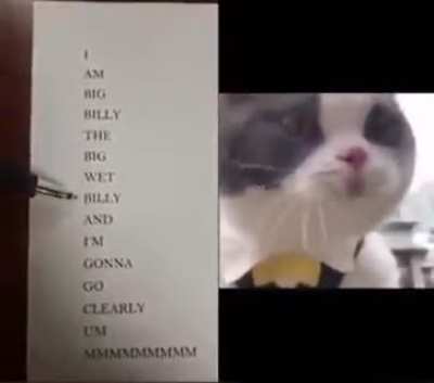 I am big billy