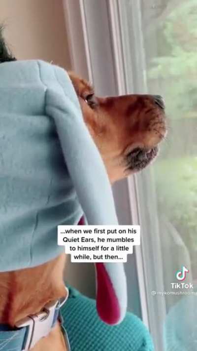 Woof muffler