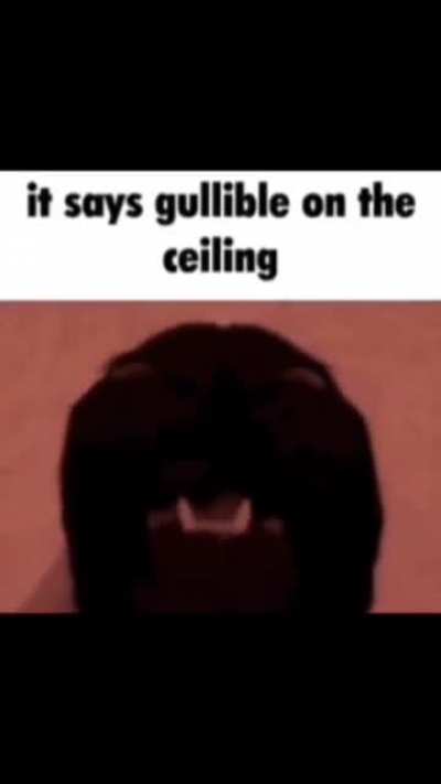 It actually does