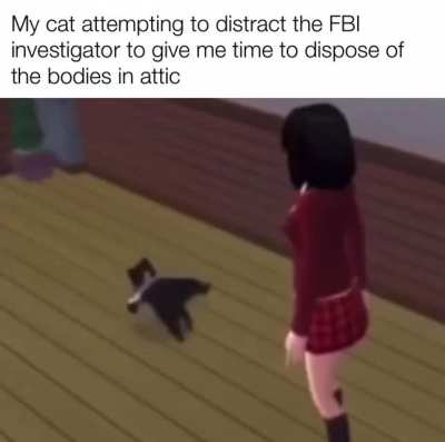 Nothing to see here