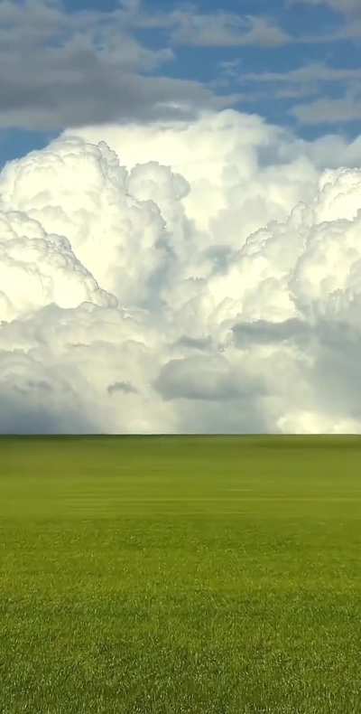 A slice of heaven