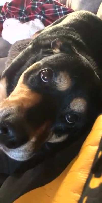 How can you resist?