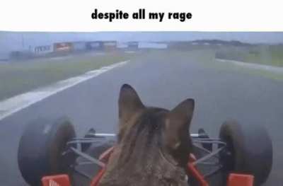 Rule