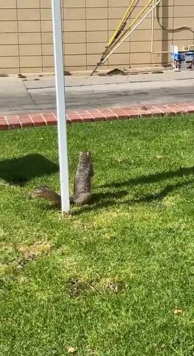 “Hey!”
