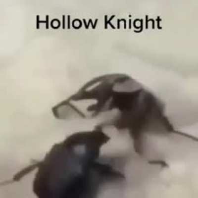 10/10 gameplay